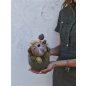 A moha titka asztali