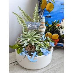 Beach asztali pozsgás