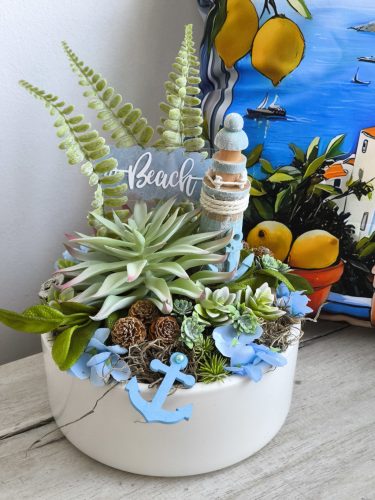 Beach asztali pozsgás