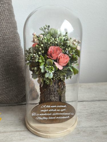 Üvegbúrás fácska 2