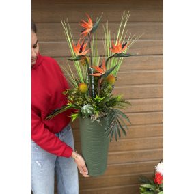 Egzotic Strelitzia