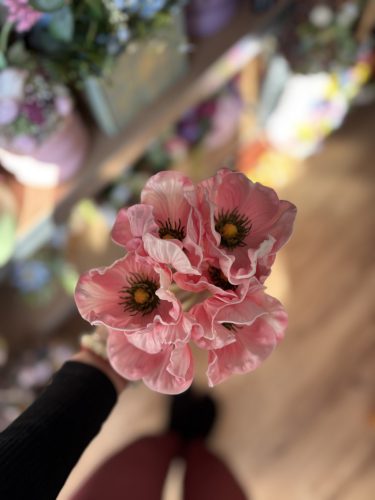 Gumi mákvirág blush pink