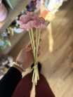 Gumi mákvirág blush pink