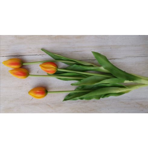 Gumi tulipán narancs
