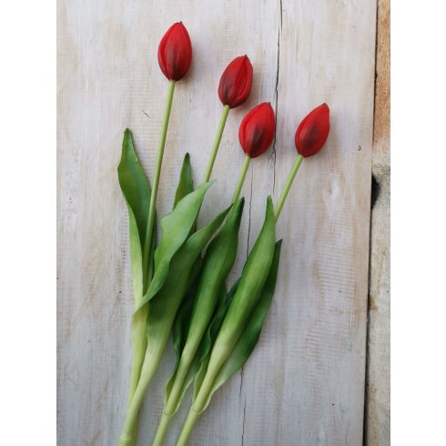 Gumi tulipán piros