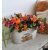 Hello pumpkin asztali
