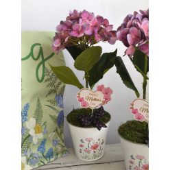 Hortenzia Anyák napi rózsaszin