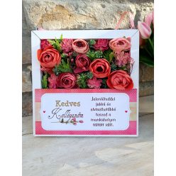 Kedves Kolléganő auróra, falidísz