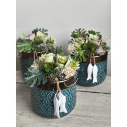 Türkis pozsgás asztali