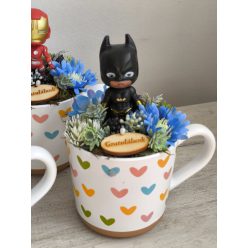 Szuperhős ballagó 5