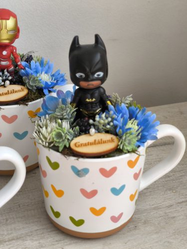 Szuperhős ballagó 5