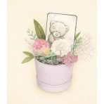 Ballagás, évzáró köszönő ajándékok